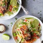 Easy Teriyaki Salmon served on a bed of Asian Noodles made with brown rice noodles, fresh veggies and a homemade Asian Sesame Dressing! A light, simple refreshing recipe for the summer! | gluten free recipes