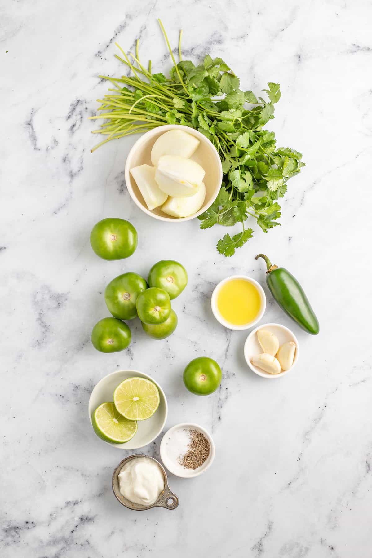 limes, cilantro, tomatillos, jalapeno, and other ingredient on a marble countertop