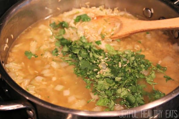 cilantro broth