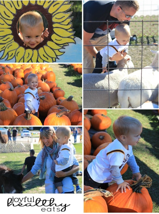 Pumpkin Patch