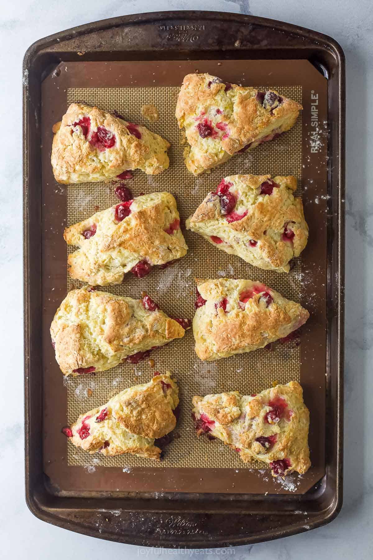 Freshly baked cranberry orange scones in the baking sheet. 