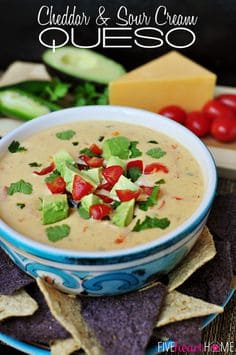 Cheddar & Sour Cream Queso