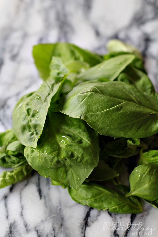 Fresh basil leaves