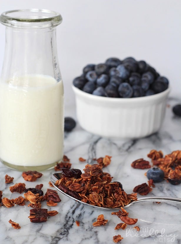 A spoonful of Coconut Blueberry Pecan Granola next to a glass of milk and a ramekin of fresh blueberries