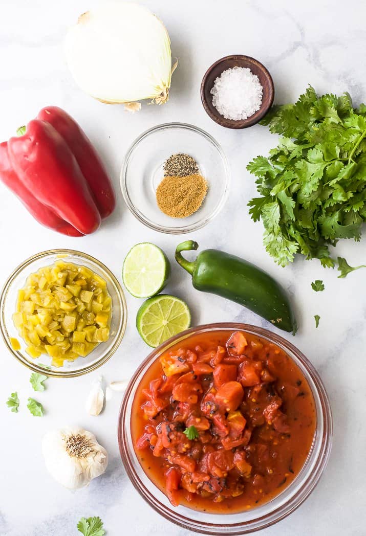 ingredients for fresh homemade salsa