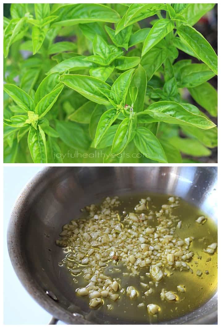 Fresh basil plant and a bowl of olive oil and garlic