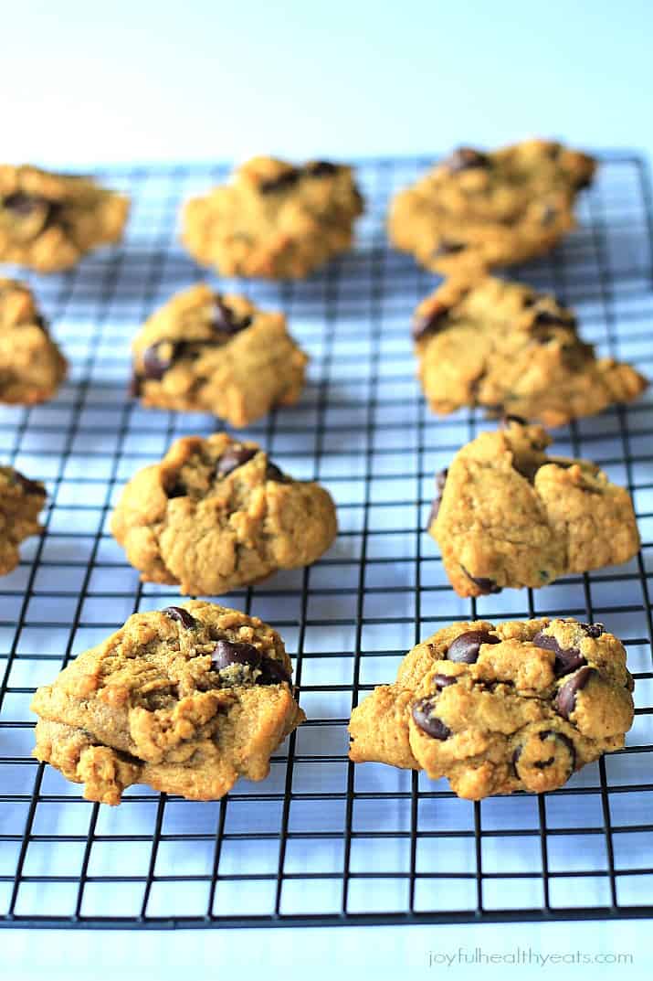 Pumpkin chocolate chip cookies lined up on a cooling rack with about an inch in between each cookie