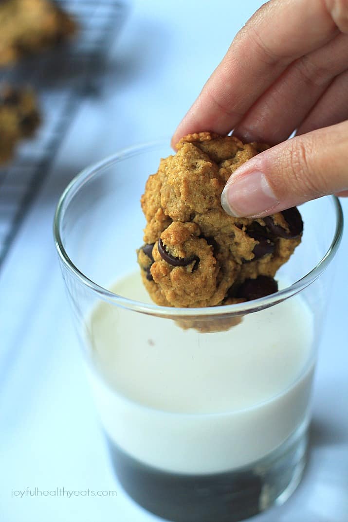 A pumpkin cookie being dipped into a glass full of milk