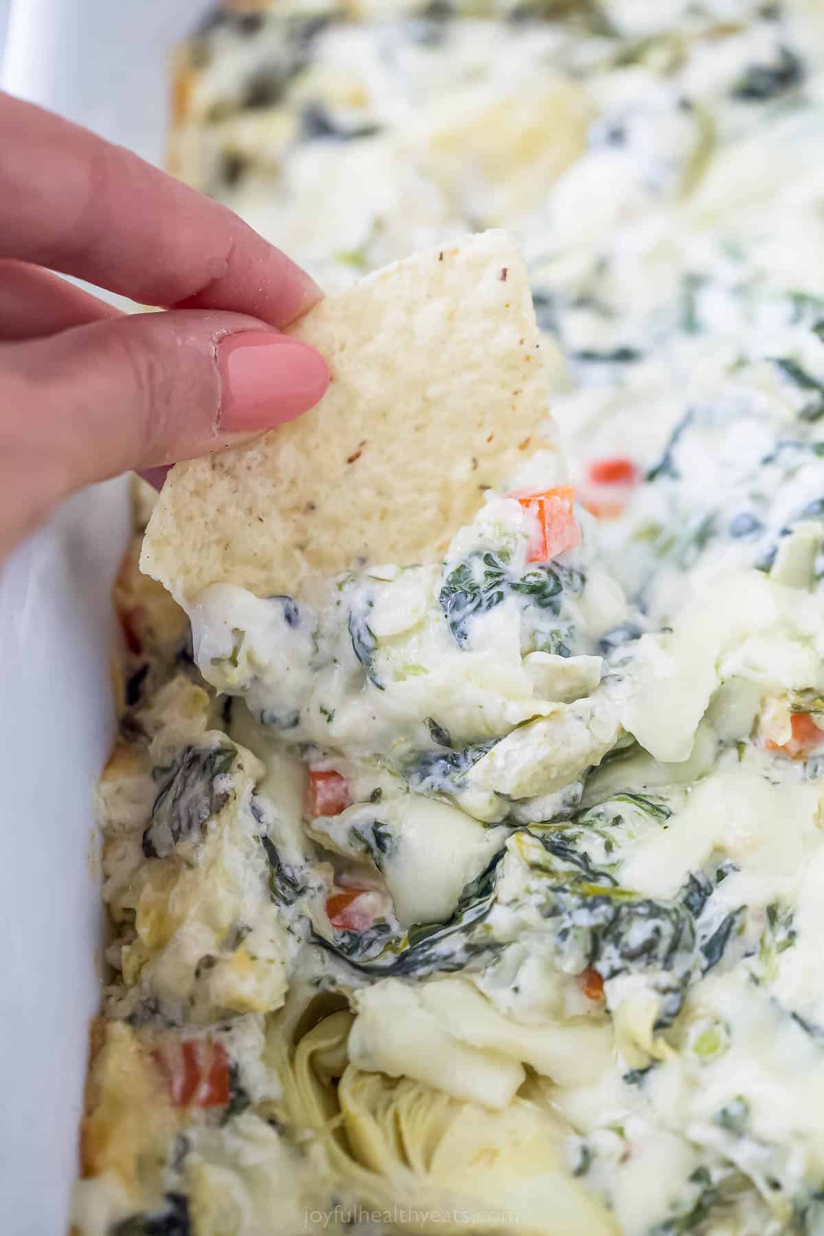 a tortilla chip dipping into a casserole dish of creamy spinach artichoke dip