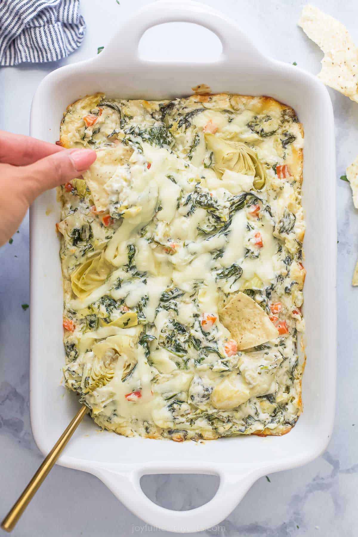 a tortilla chip dipping into a casserole dish of creamy spinach artichoke dip