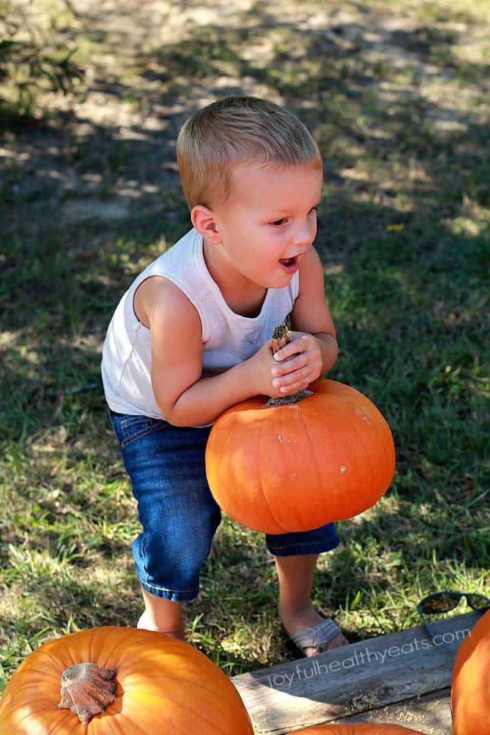 A little boy picking up a pumpkin by the stem