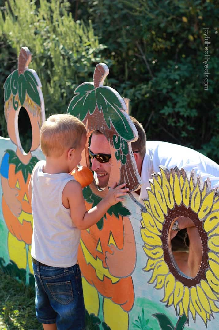 A dad looking through a pumpkin-themed display at his dad