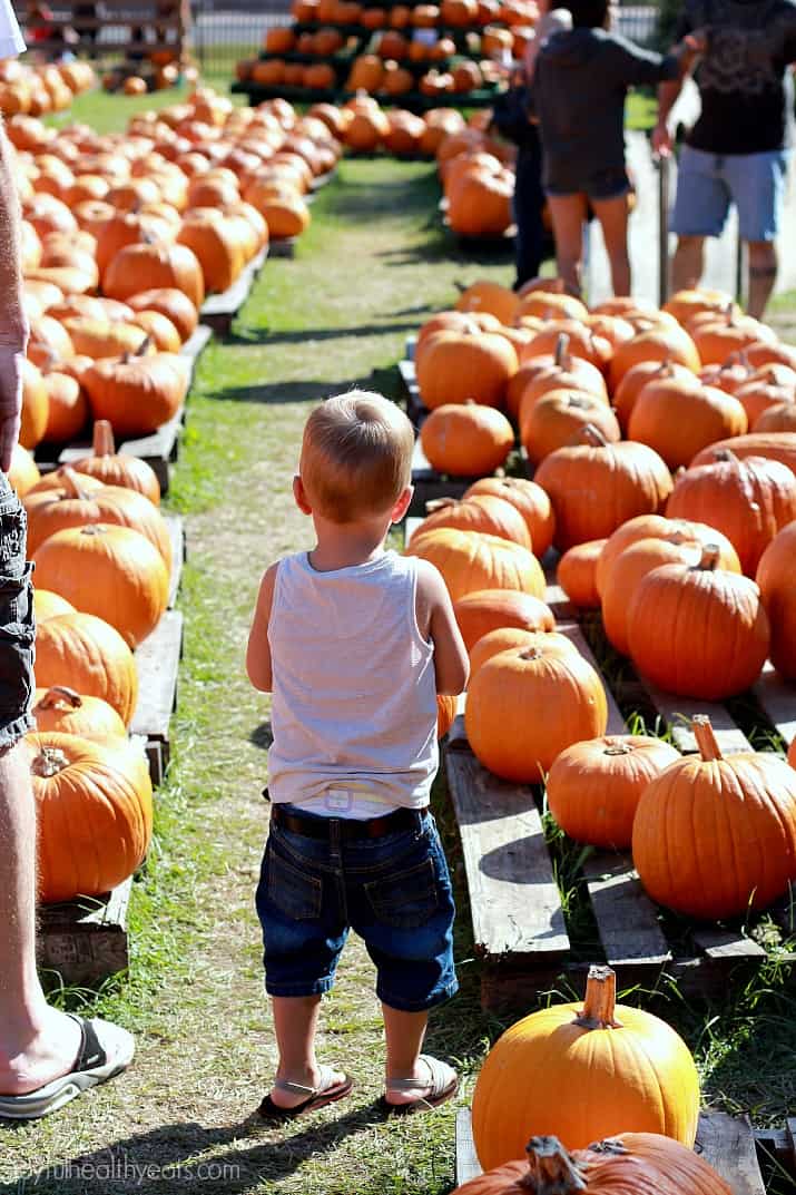 A little boy standing among a display of pumpkins