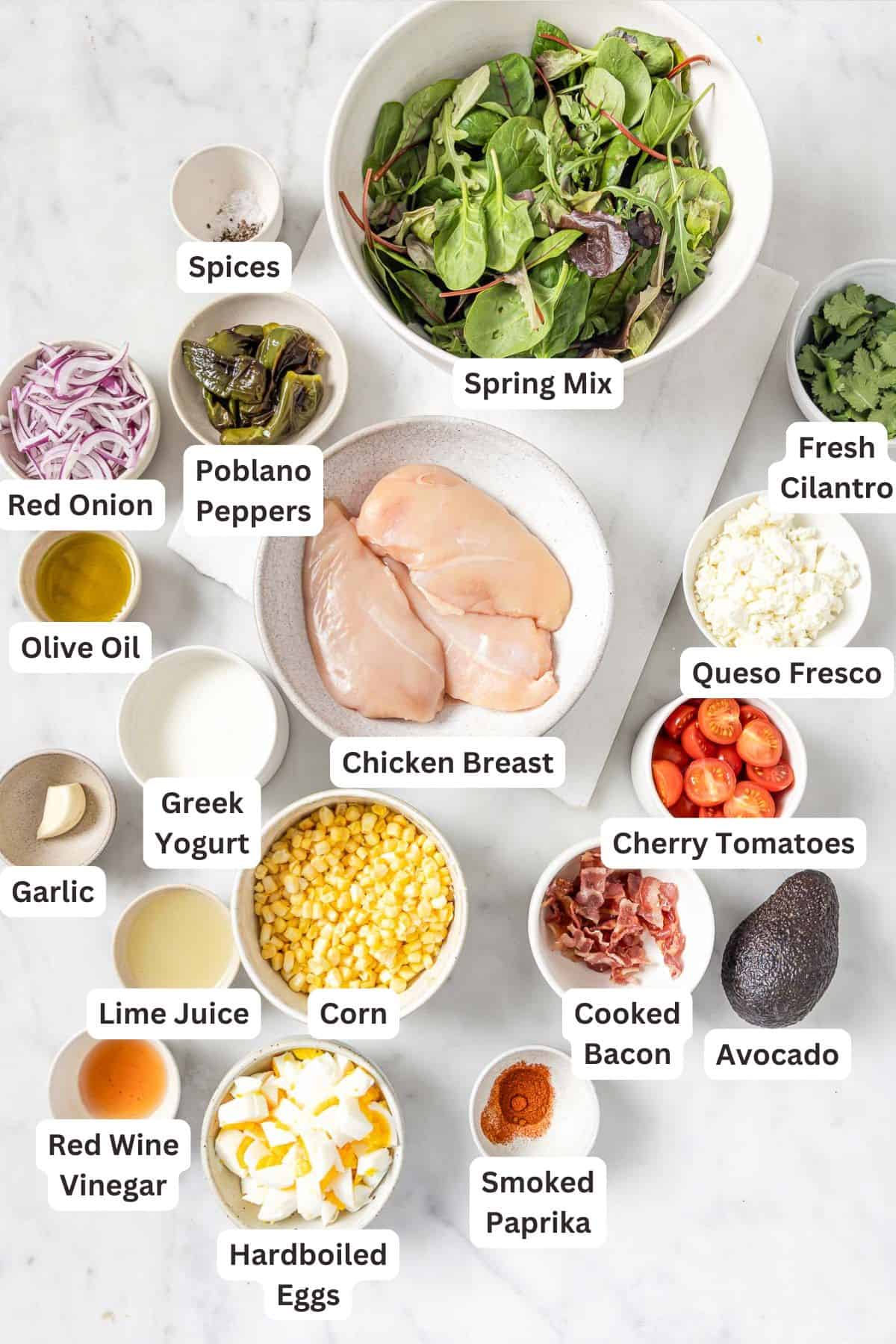 This hearty chicken Cobb salad is jazzed up with Tex-Mex flavors, from avocado and queso fresco to a creamy and tangy poblano dressing! Overhead view of ingredients for chicken Cobb salad
