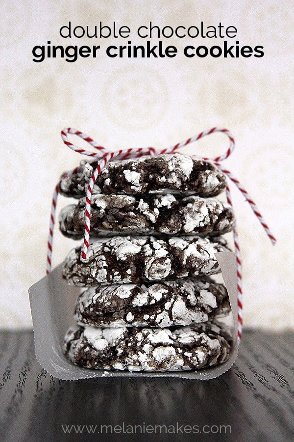 A Stack of Double Chocolate Ginger Crinkle Cookies Wrapped in Parchment Paper