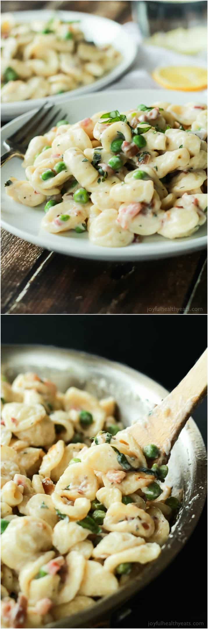 Crispy Pancetta Sweet Pea Orecchiette Pasta tossed with a creamy lemon herb Goat Cheese Sauce! This pasta recipe is comfort food to the max AND its skinny! | joyfulhealthyeats.com #recipes