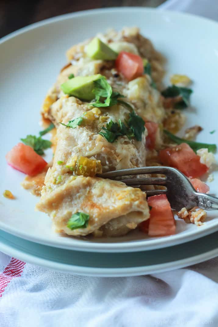 Chicken Enchilada topped with melted cheese, jalapeno, avocado, and tomato on a plate