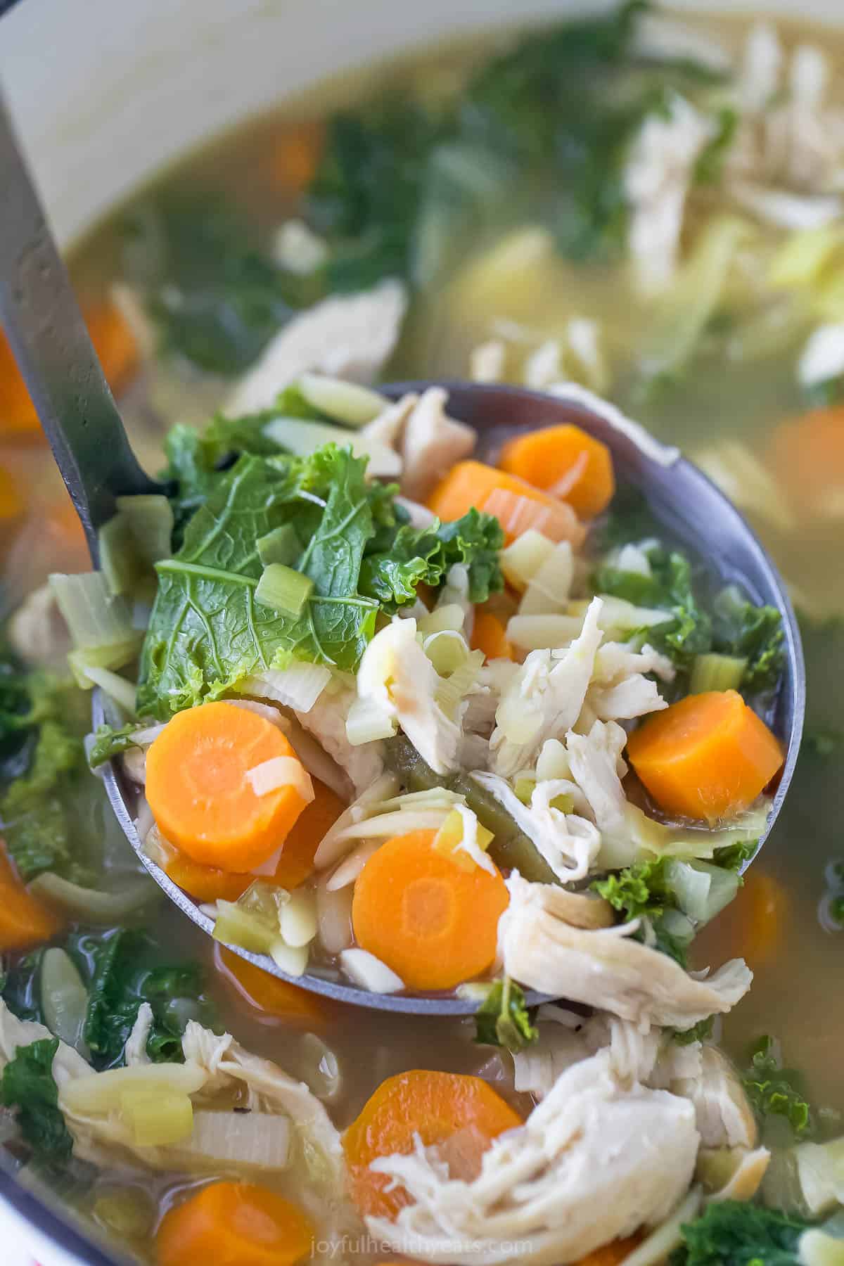 A spoonful of chicken orzo soup and vegetables. 