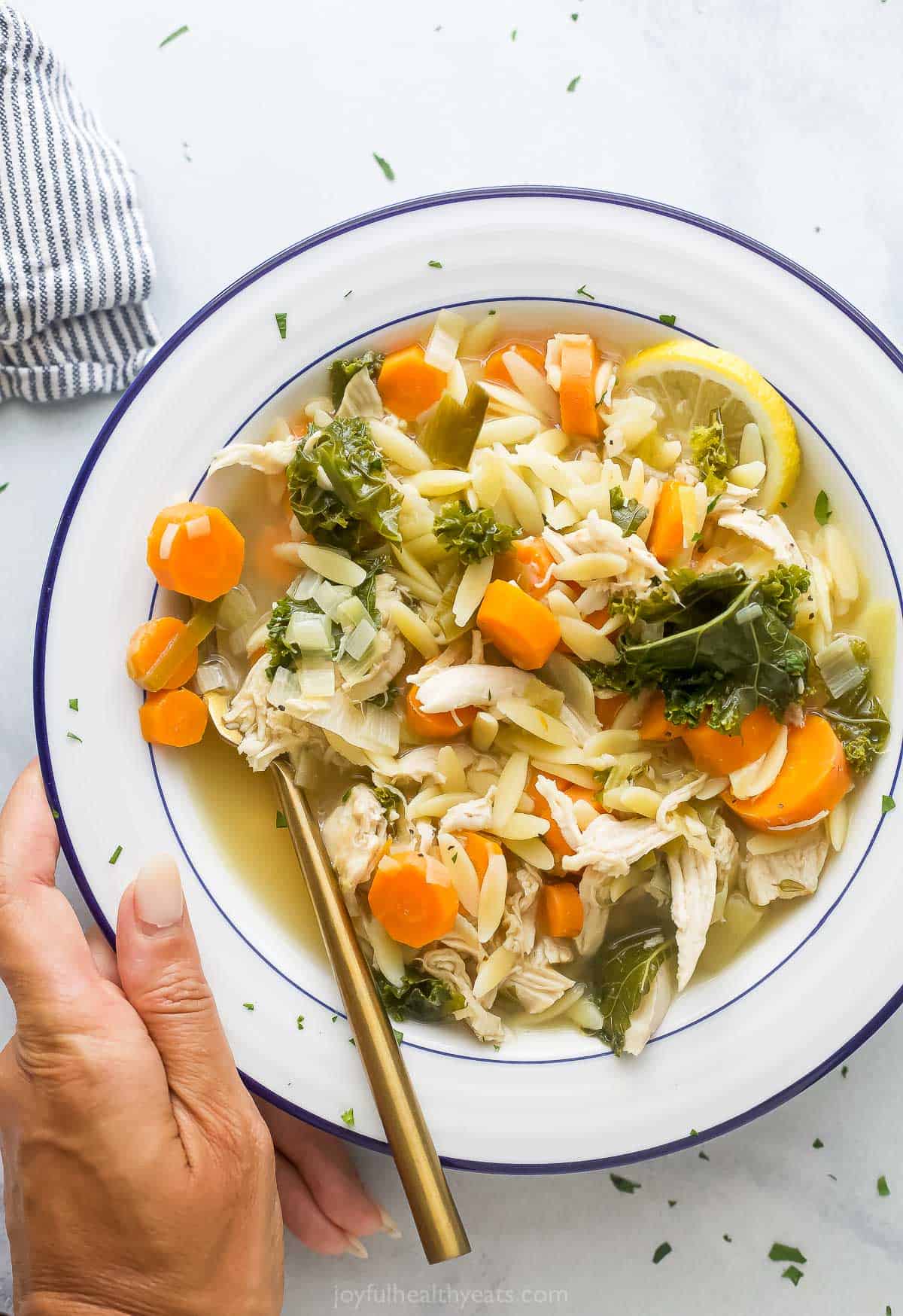 Bowl of chicken orzo soup. 