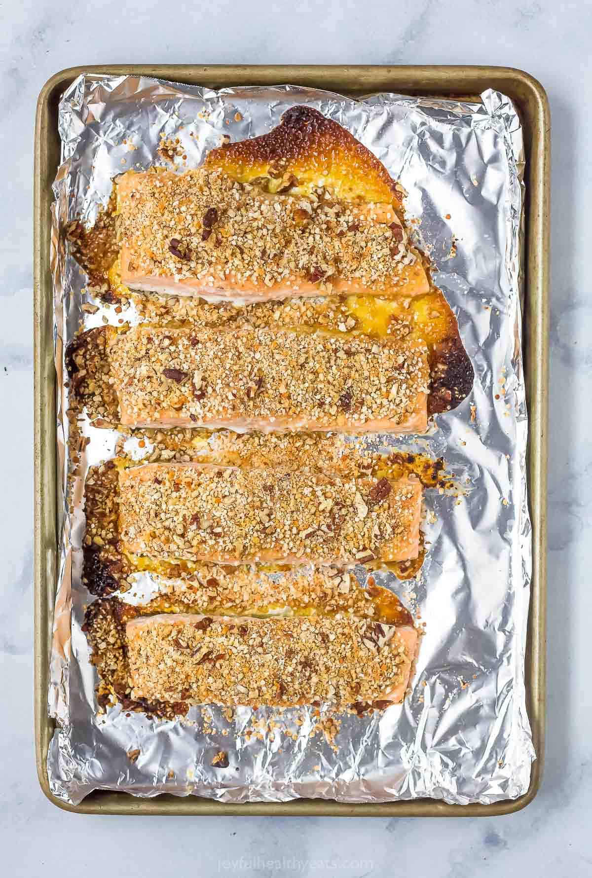 Baked salmon in the baking sheet. 