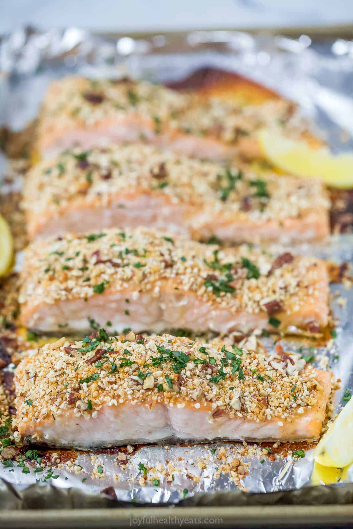 Side-view of pecan crusted salmon filets. 