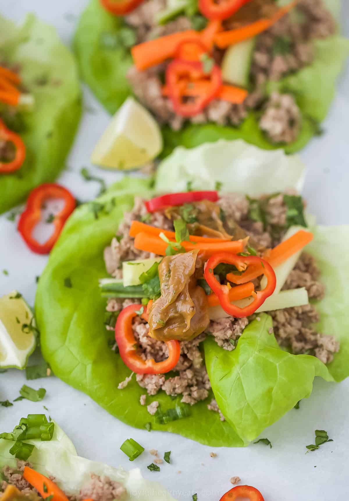 These easy Thai Chicken Lettuce Wraps are made with chicken, ginger, cilantro, fresh vegetables and slathered in a Spicy Peanut Sauce. Thai Chicken Lettuce Wraps with Spicy Peanut Sauce