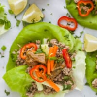 close up on Thai Chicken Lettuce Wraps