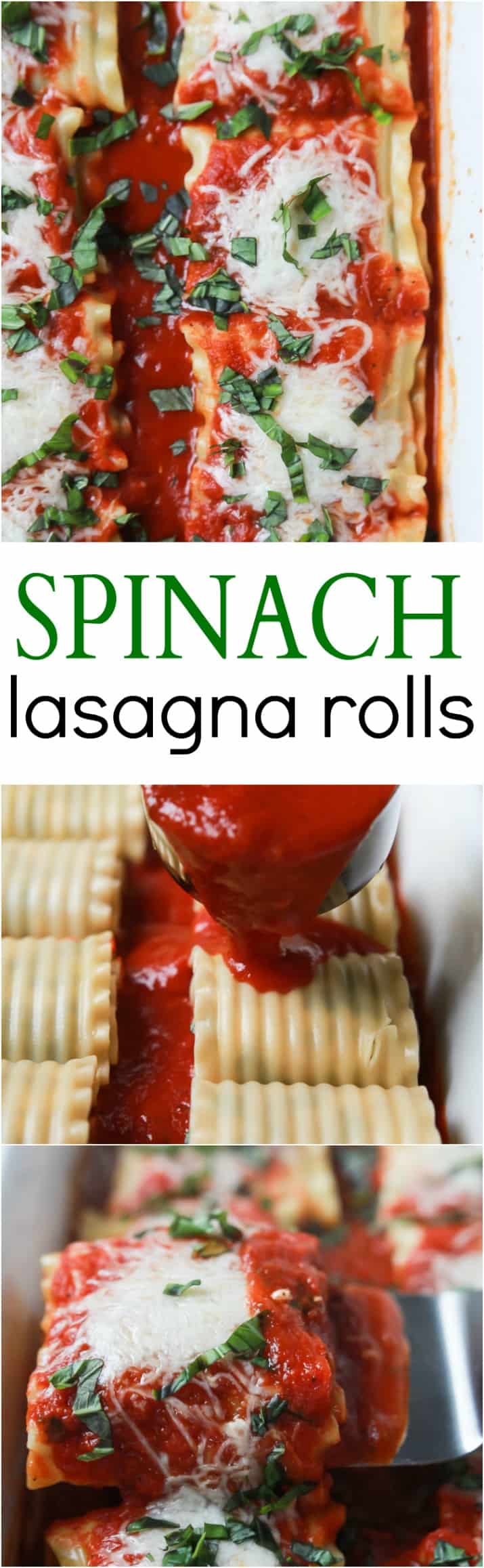 An easy vegetarian meal your family will love! Spinach Lasagna Rolls filled with delicious nutrient packed filling, topped with marinara sauce and light amounts of cheese for only 159 calories a serving! | joyfulhealthyeats.com #vegetarian