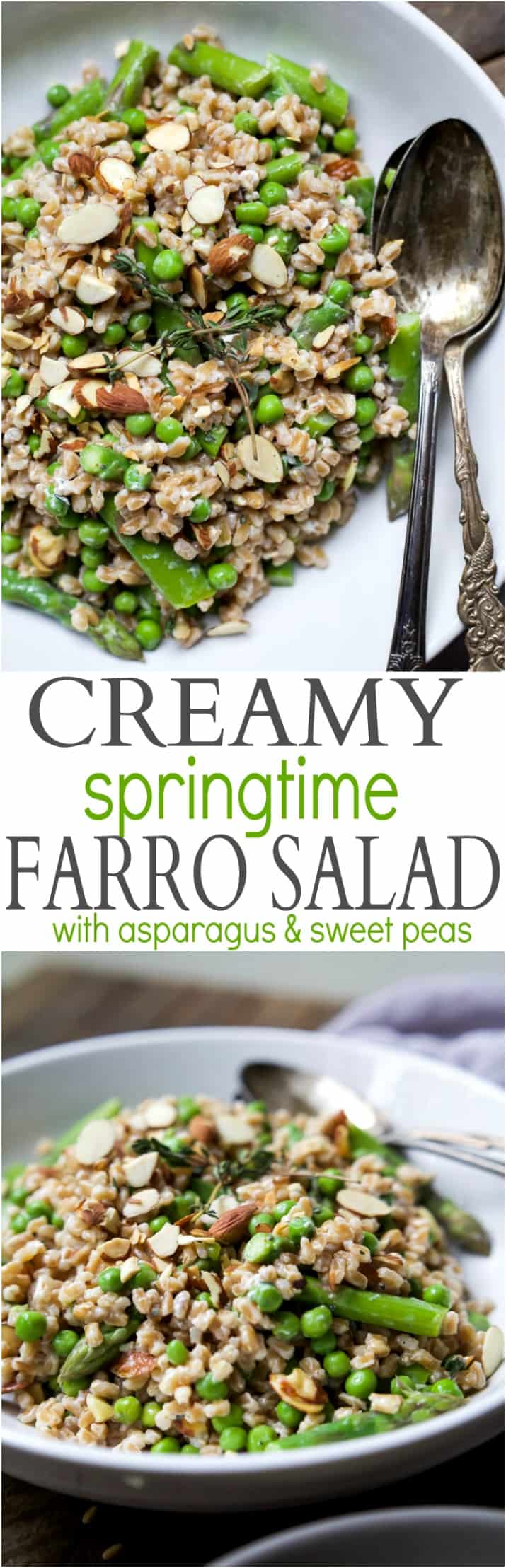 Collage for Creamy Springtime Farro Salad with Asparagus and Sweet Peas recipe