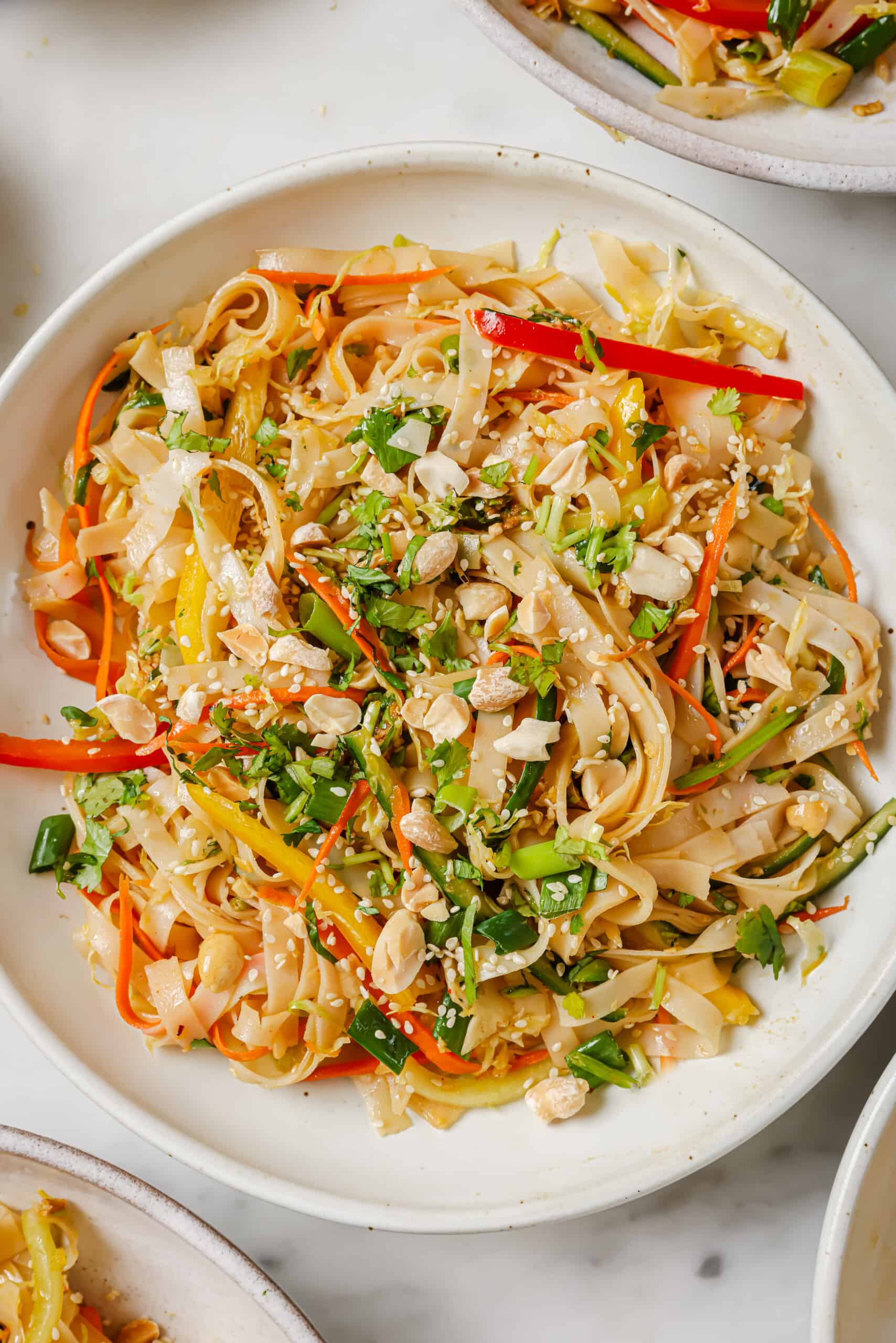 Bowl of Asian noodle salad with veggies. 