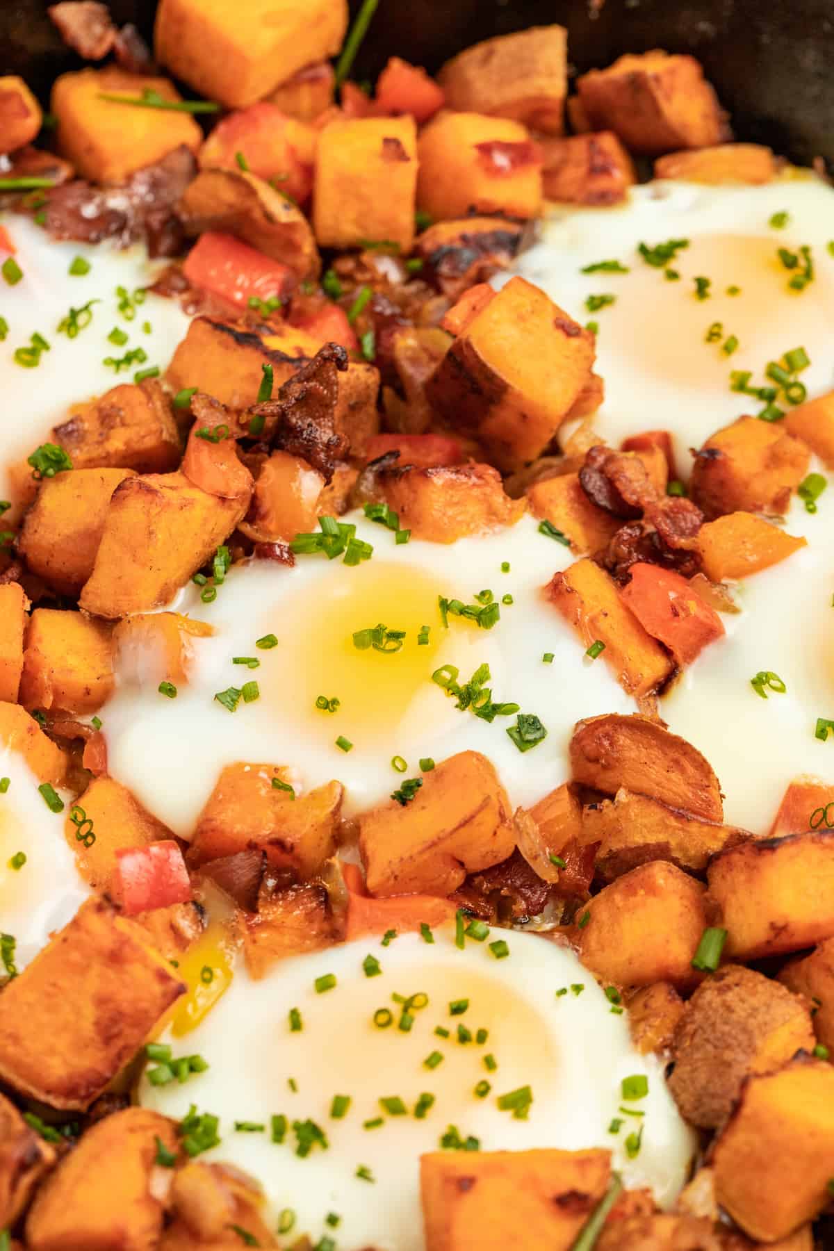Close-up of breakfast hash. 