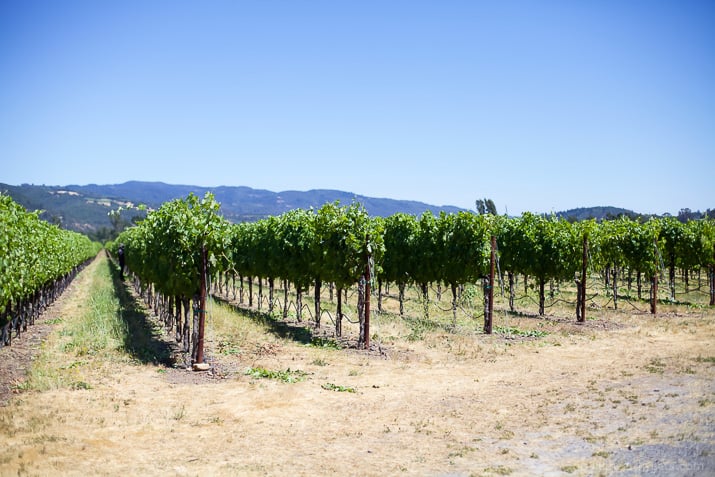 Tips on How to Plan the perfect Napa trip - with advice on where to stay, MUST eat at Restaurants, and the BEST Napa Valley Wineries in town! | joyfulhealthyeats.com