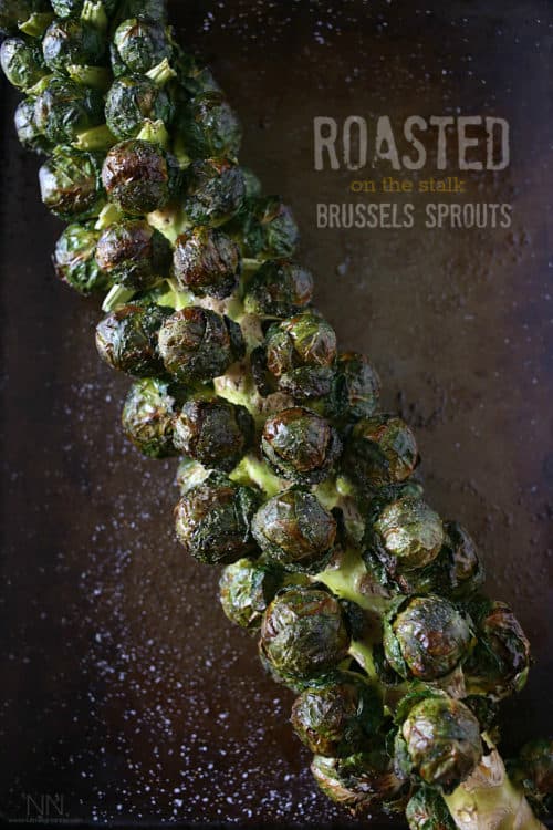 Look no further with the ULTIMATE Holiday Guide for Thanksgiving! This Turkey Day roundup has 45+ Thanksgiving recipes to ensure that you have the BEST and most flavorful feast around! | joyfulhealthyeats.com