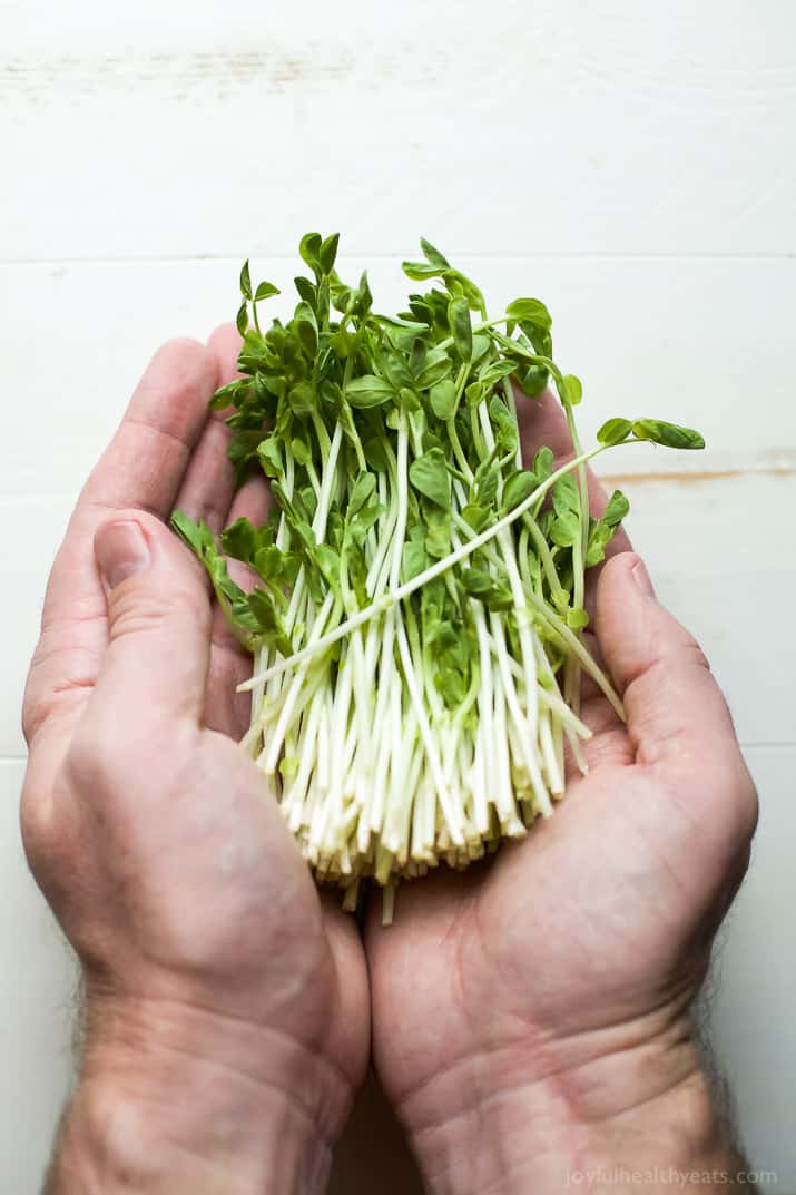 A handful of fresh sprouts