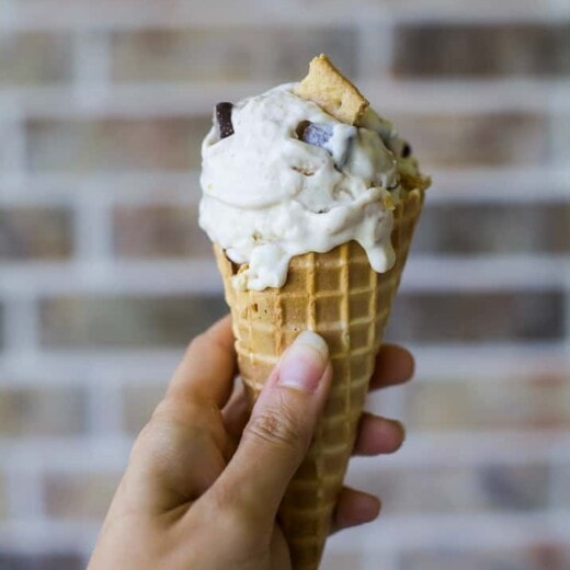 Homemade S'more Frozen Yogurt - web-6