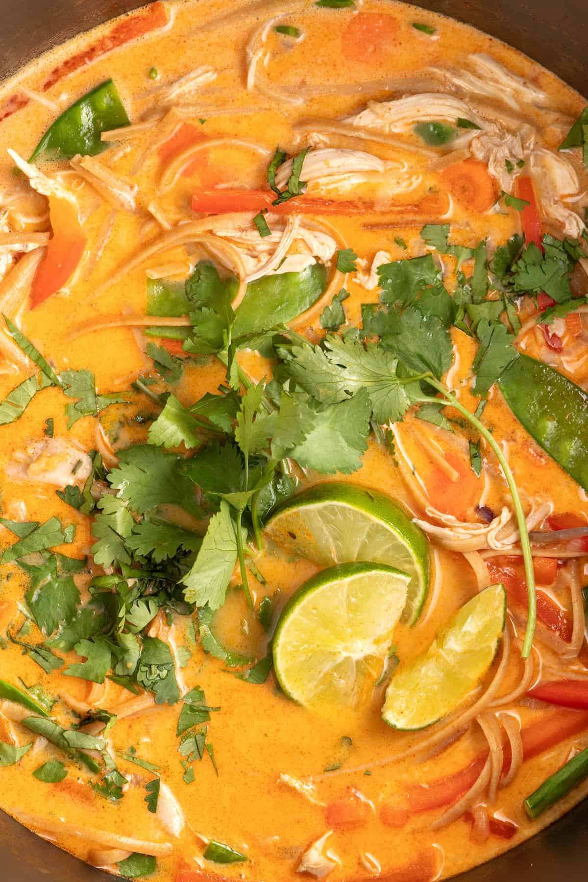 close up of coconut milk-based chicken soup with limes, herbs, and vegetables