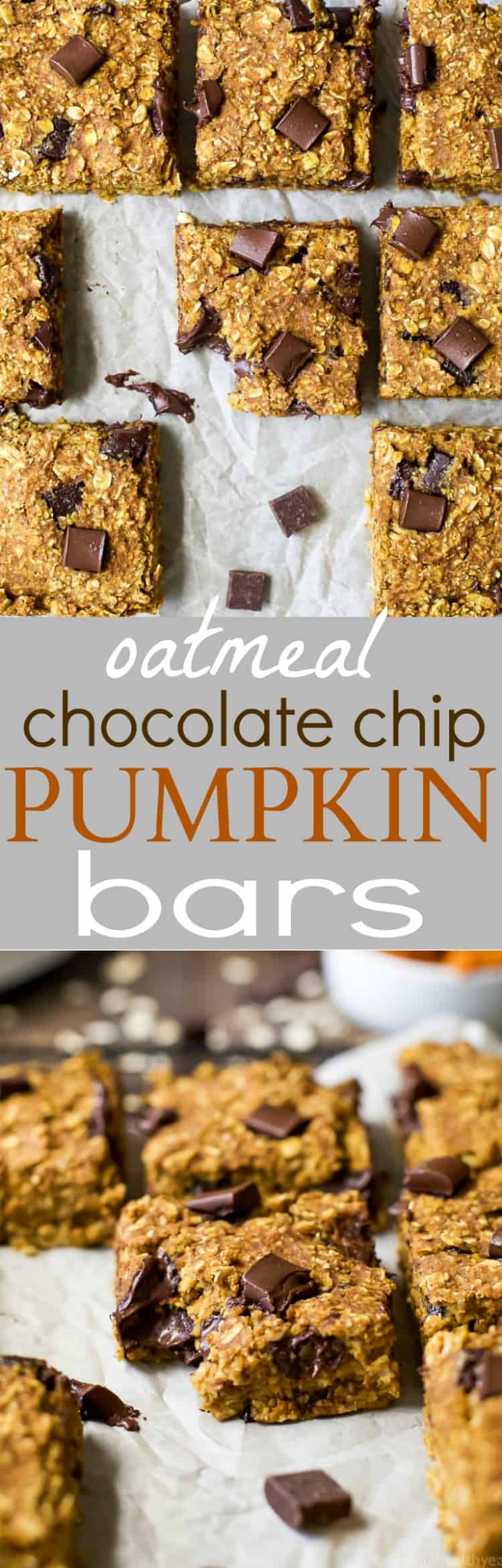 Oatmeal Chocolate Chip Pumpkin Bars Recipe