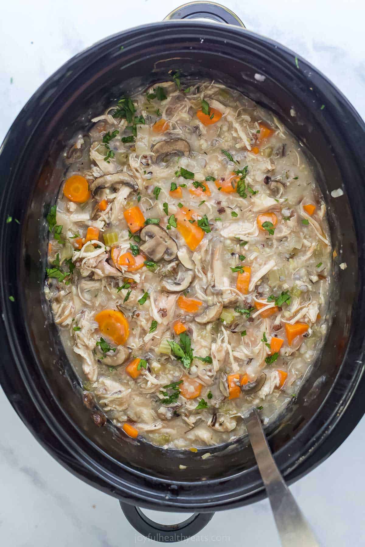 chicken and wild rice soup in a crock pot