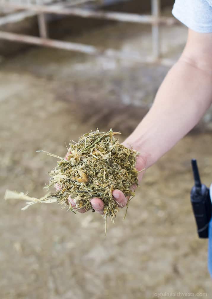 A handful of hay