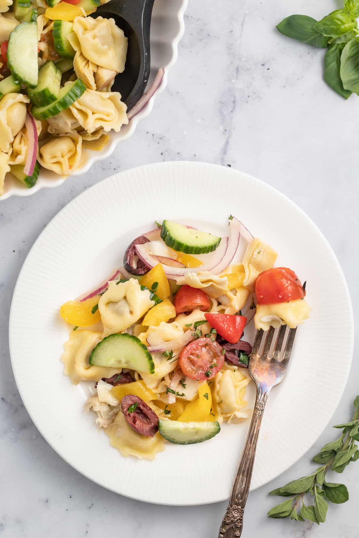 A serving of pasta salad on a plate.