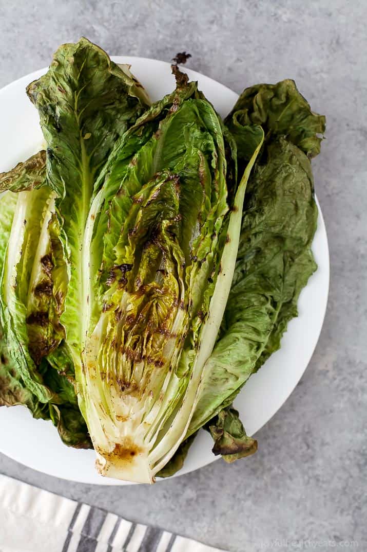 Top view of grilled romaine lettuce leaves on a plate