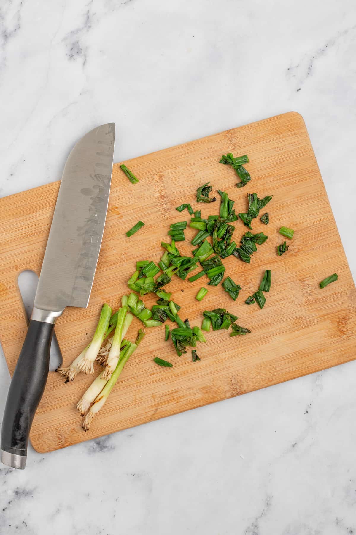 Chopping the charred green onions. 