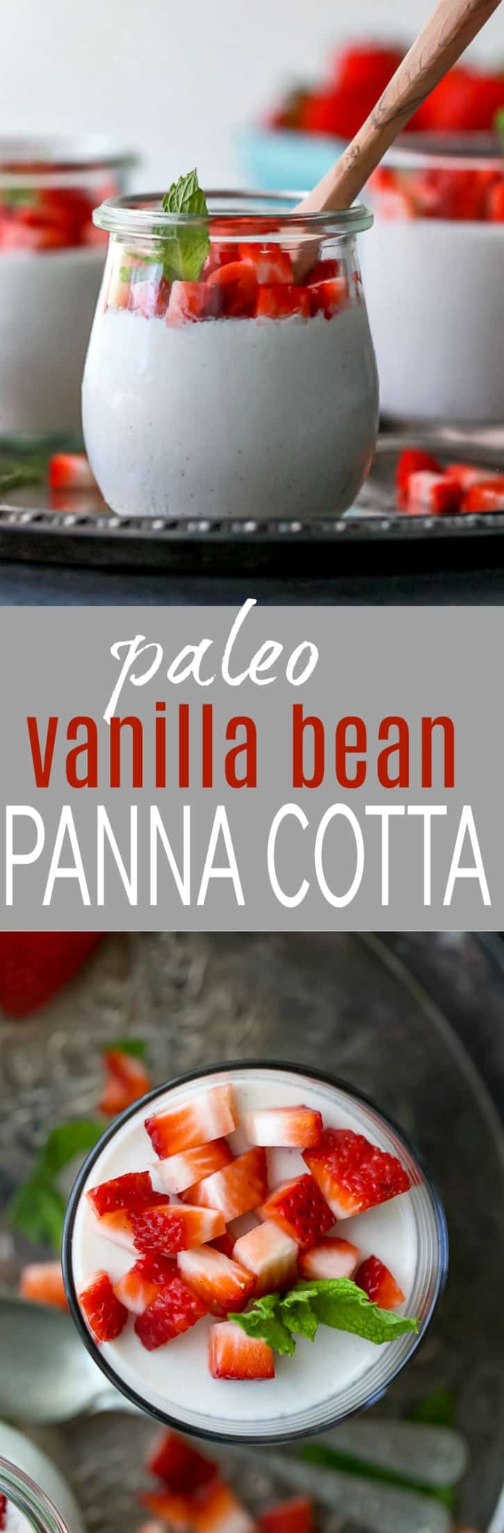 Creamy Paleo Vanilla Bean Panna Cotta sweetened with honey. A quick and easy dessert recipe that takes minutes to make! It's the perfect light sweet treat for the summer!