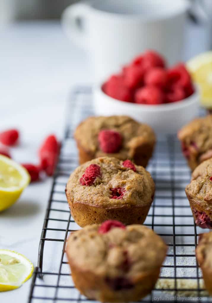 Flourless Lemon Raspberry Protein Muffins with 9 grams of protein per muffin! These berry bursting sugar free muffins are the perfect quick breakfast or post workout snack!