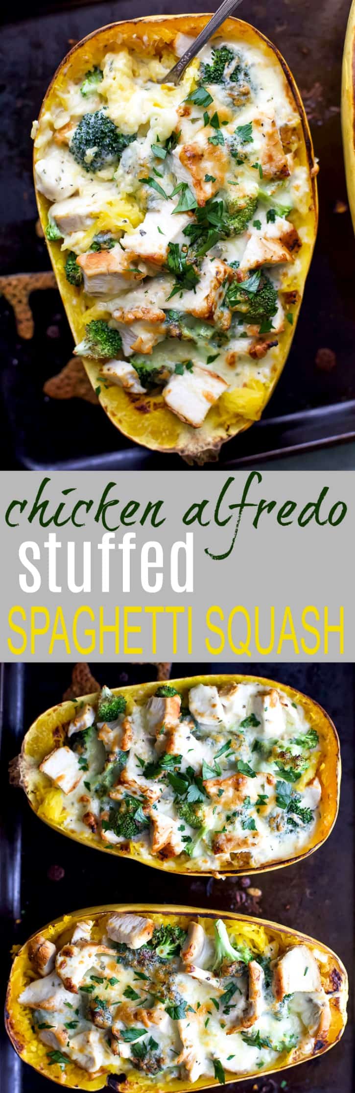 Top view of Chicken Alfredo Stuffed Spaghetti Squash