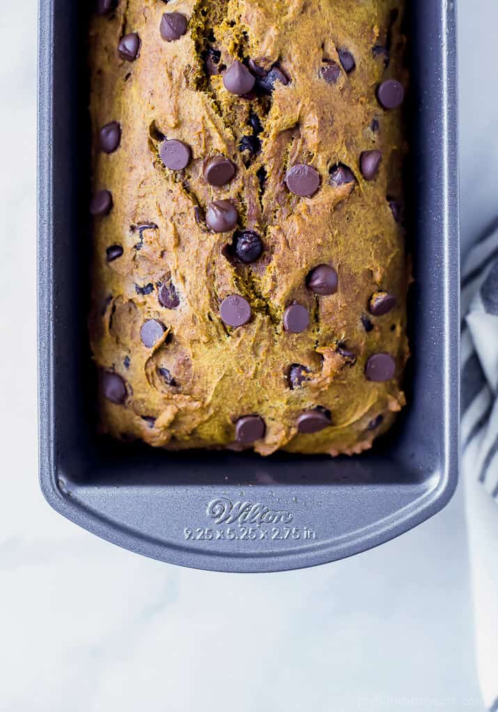 A freshly-baked loaf of whole wheat pumpkin bread with dark chocolate chips inside and on top
