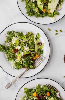 Cranberry Apple Brussel Sprout Salad on a plate