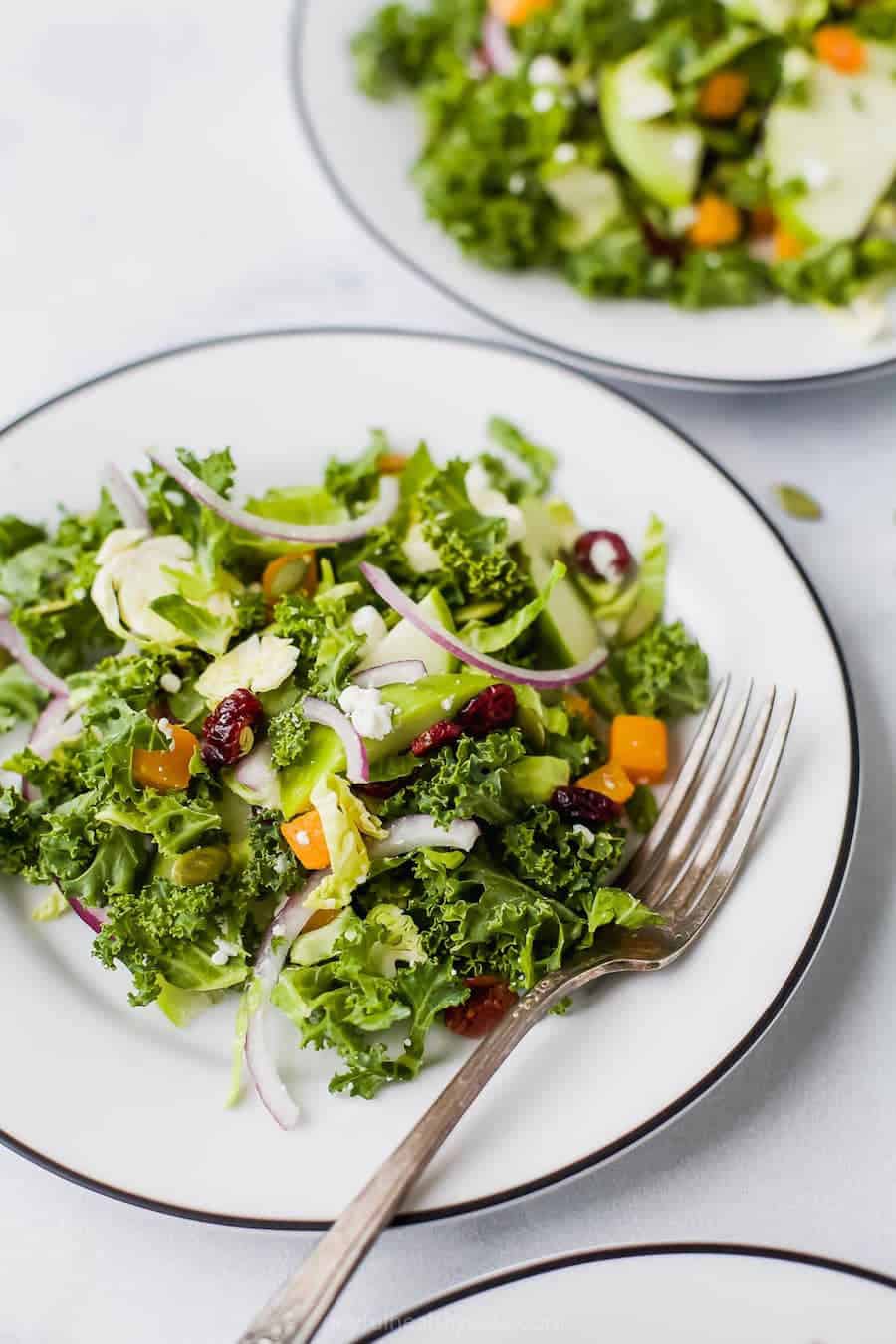 Healthy Cranberry Apple Brussel Sprout Salad on a plate