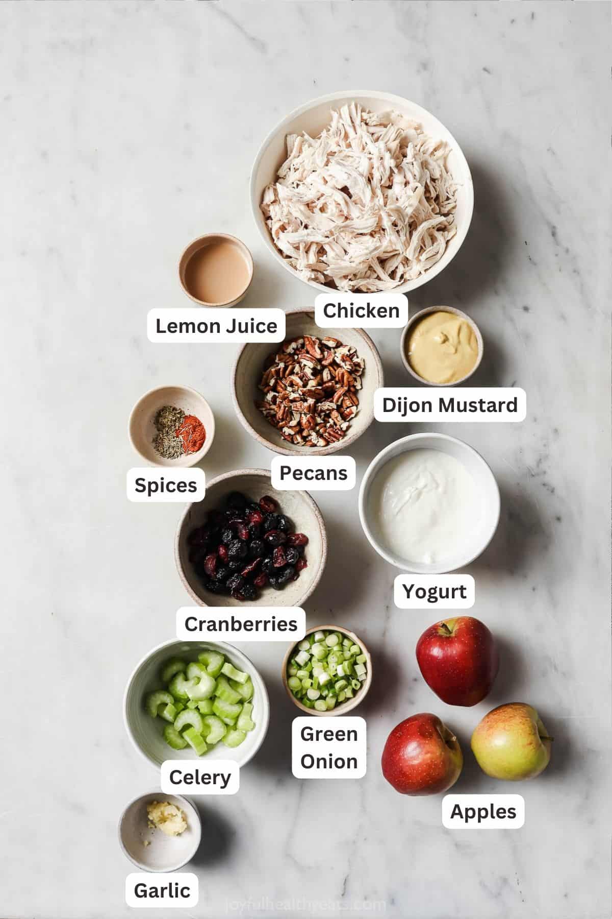 Labeled ingredients for the cranberry chicken salad.