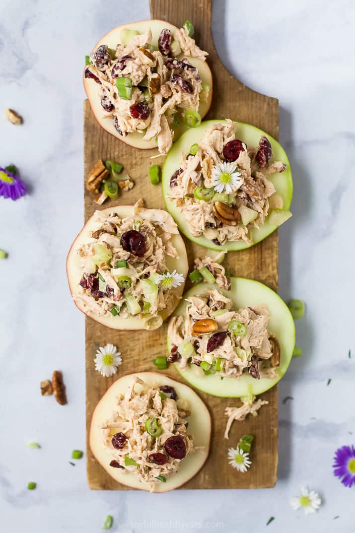 Cranberry chicken salad on apple slices